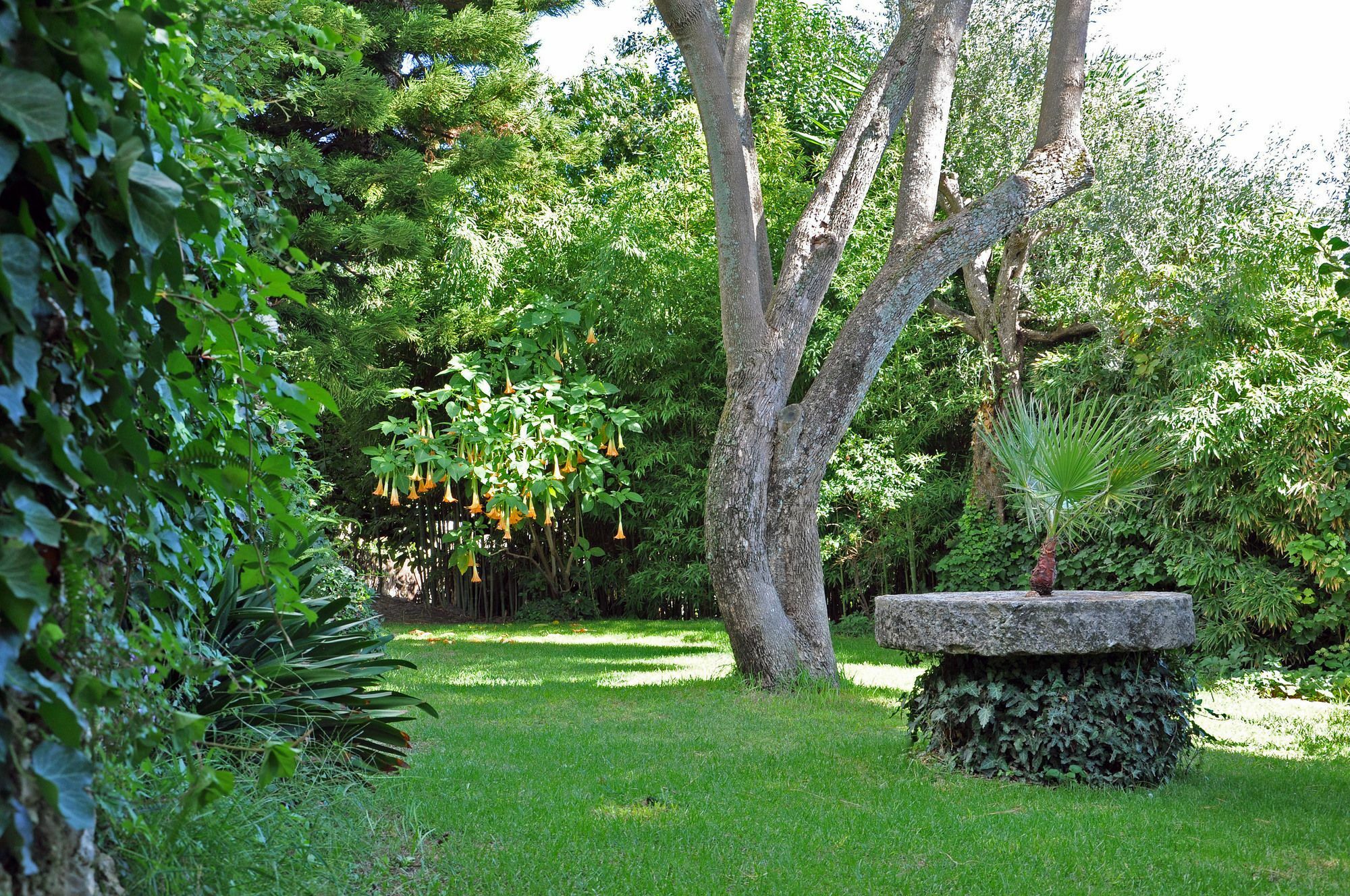 Ágios Márkos Villa Domenicale מראה חיצוני תמונה